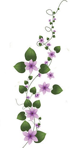 purple vines
