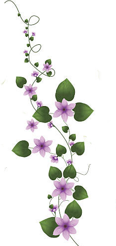 purple vines