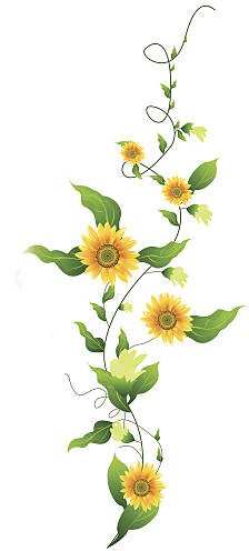 yellow vines